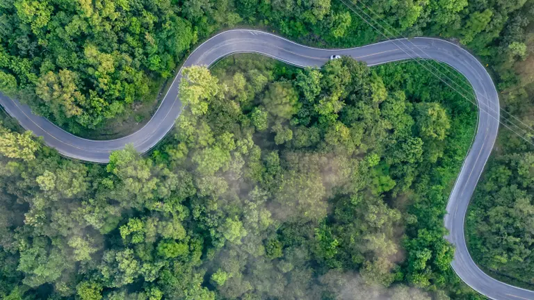 The road in the forest