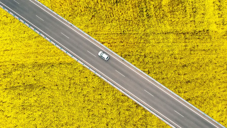 Biofuel_Car-Driving-Rapefield